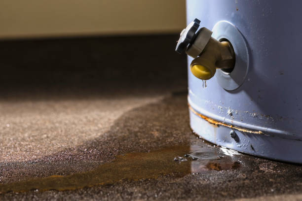 Best Water damage cleanup near me  in Penn Estates, PA