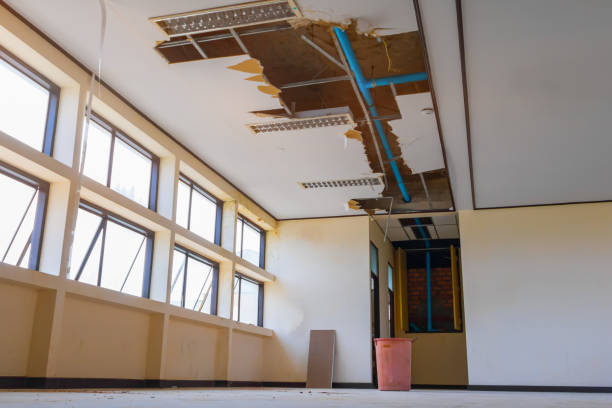 Best Local water damage restoration  in Penn Estates, PA