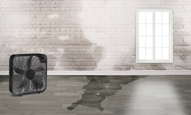 Best Water damage restoration process  in Penn Estates, PA