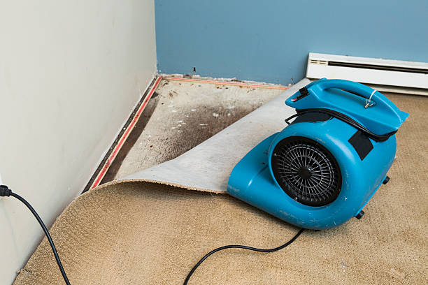 Carpet water damage restoration in PA